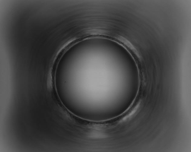 X0000100780782200806191302