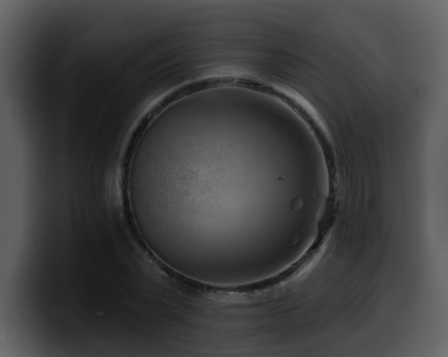 X0000100780783200806191302