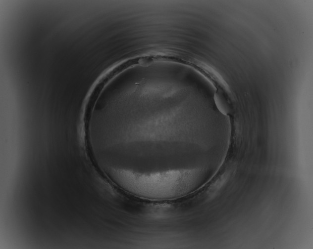 X0000100780784200806191302