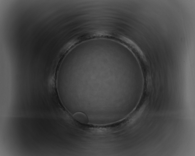 X0000100780785200806191302