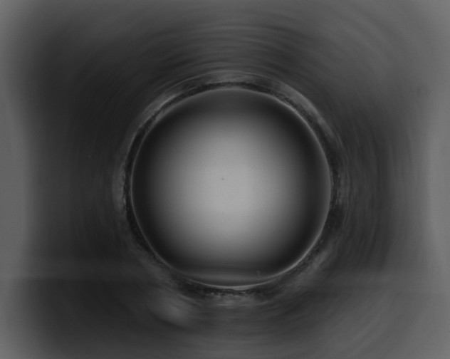 X0000100780786200806191302