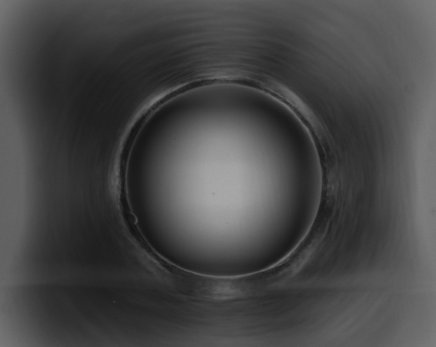 X0000100780787200806191302