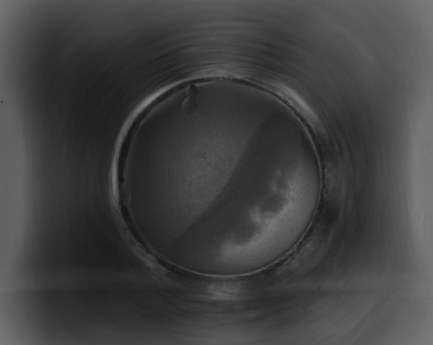 X0000100780788200806191302