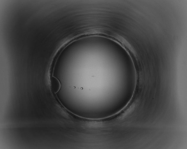 X0000100780789200806191302