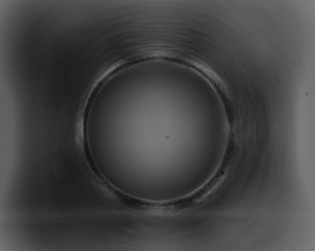 X0000100780790200806191301