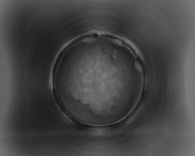 X0000100780791200806191301