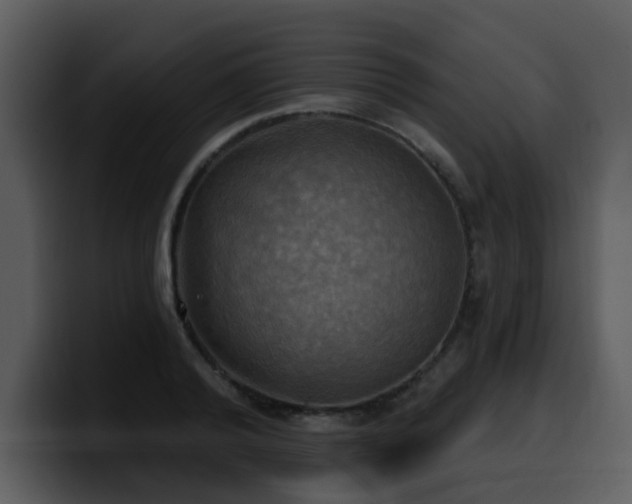 X0000100780792200806191301