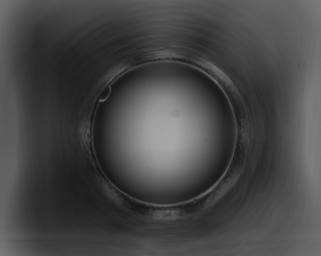 X0000100780793200806191301