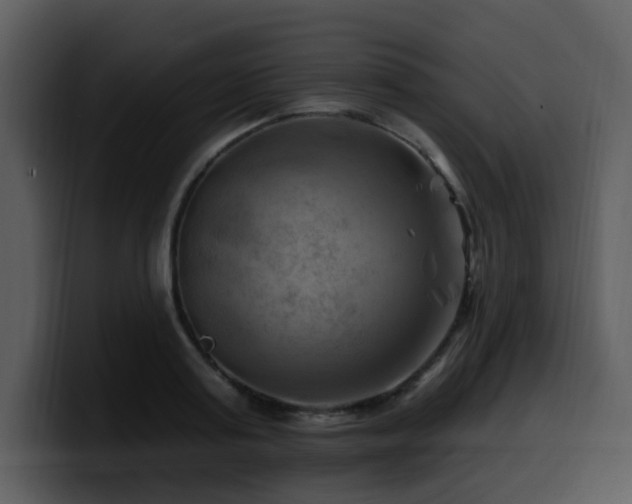 X0000100780795200806191301