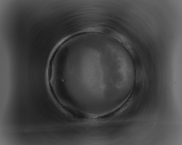 X0000100780796200806191301