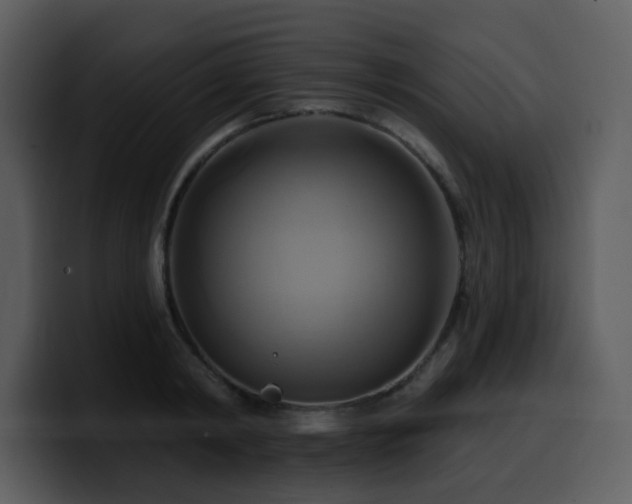 X0000100780798200806191301