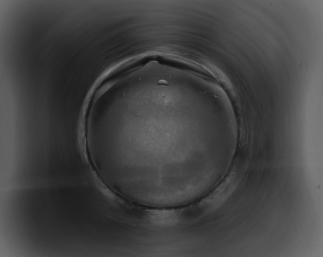 X0000100780800200806191301