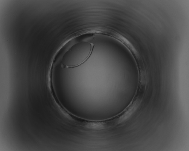 X0000100780802200806191301