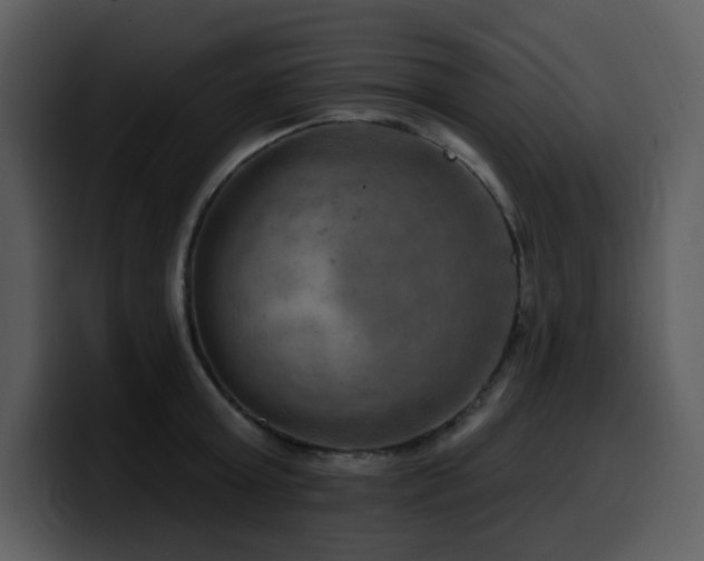 X0000100780803200806191301