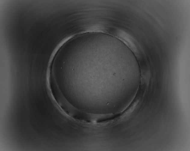 X0000100780804200806191301