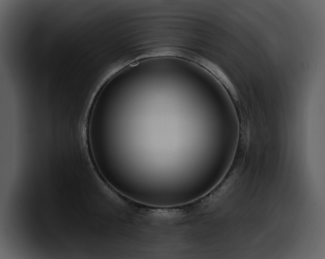 X0000100780805200806191301