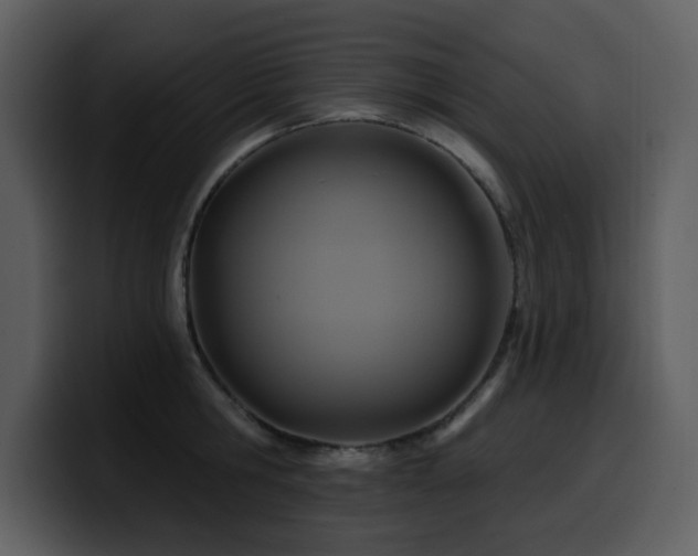 X0000100780806200806191301