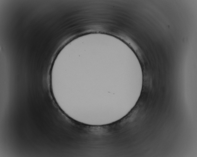 X0000100780807200806191301