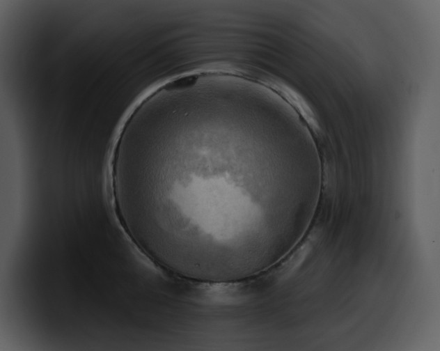 X0000100780808200806191301