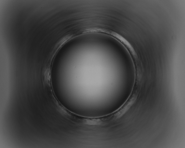 X0000100780809200806191301