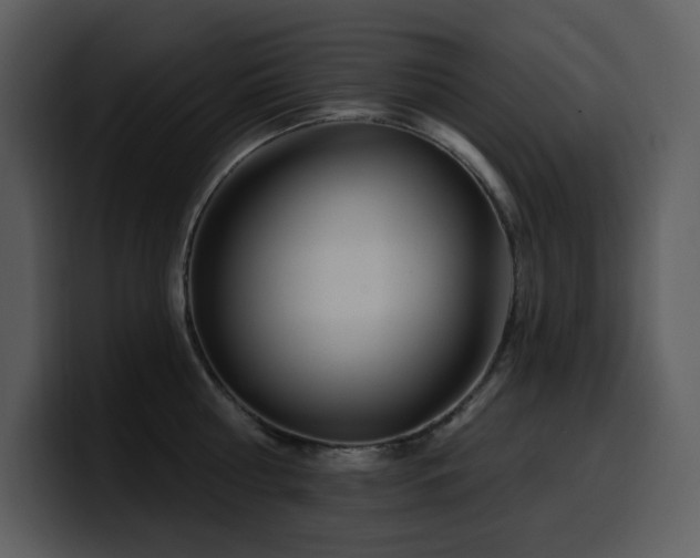 X0000100780810200806191301