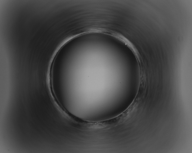 X0000100780811200806191301