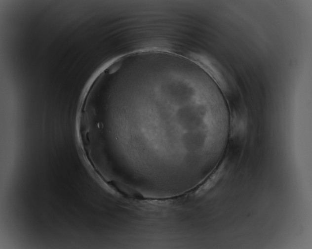 X0000100780812200806191301