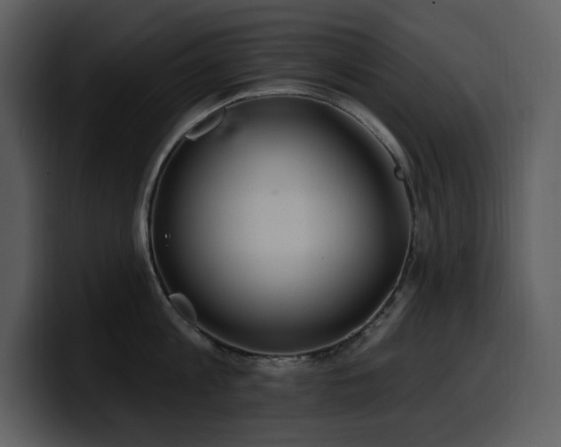 X0000100780813200806191301