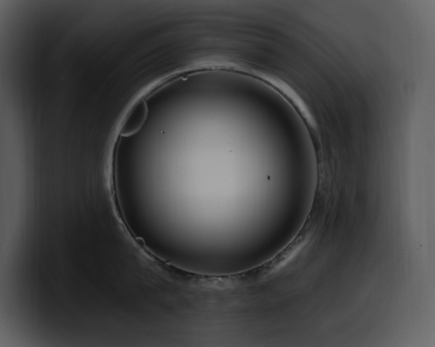 X0000100780815200806191301