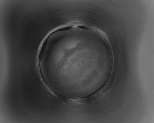 X0000100780816200806191301