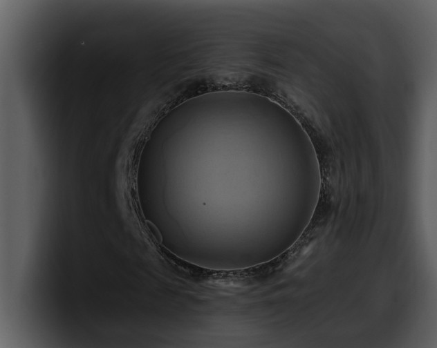 X0000100780817200806191300