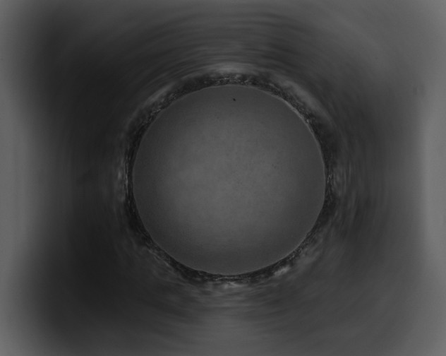 X0000100780821200806191301