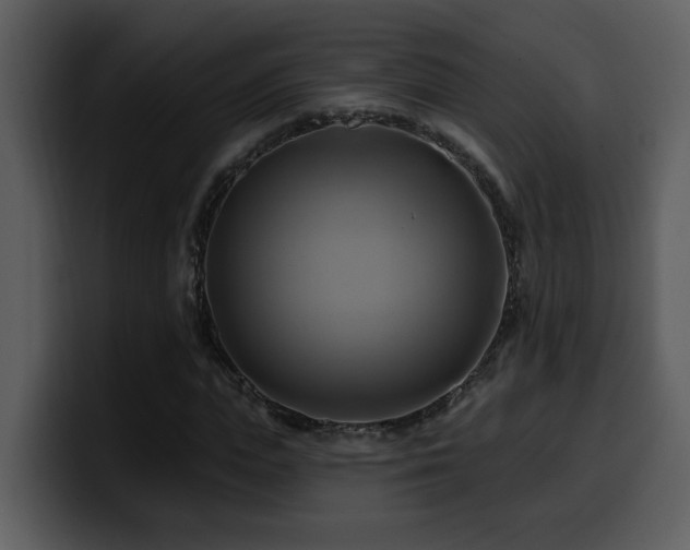 X0000100780823200806191301