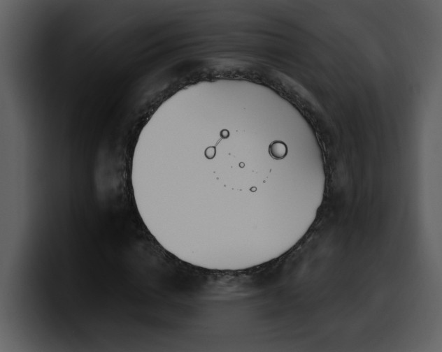 X0000100780824200806191301