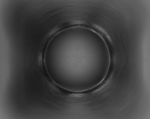 X0000100780825200806191301