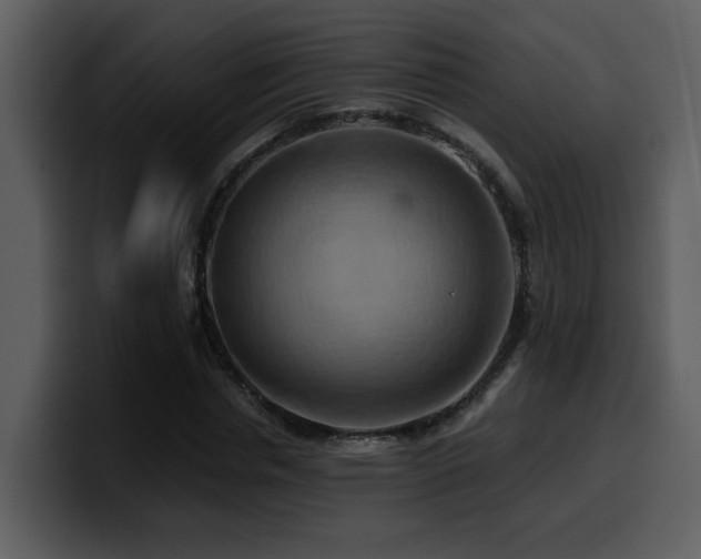 X0000100780826200806191301