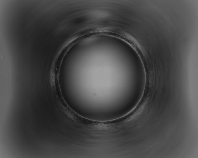 X0000100780827200806191301