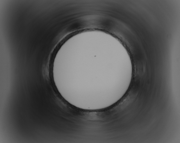 X0000100780828200806191301