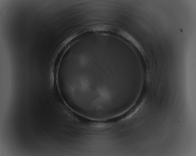 X0000100780829200806191301