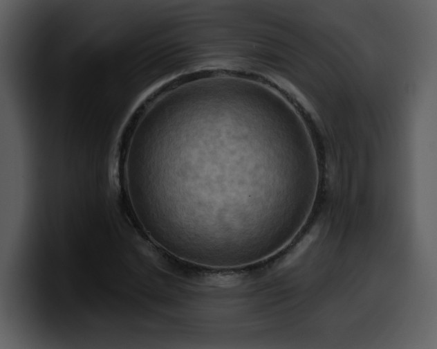 X0000100780830200806191301