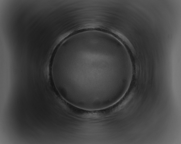 X0000100780834200806191301