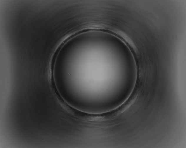 X0000100780837200806191301