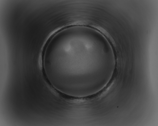 X0000100780838200806191301