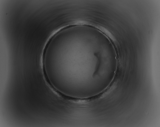 X0000100780839200806191301