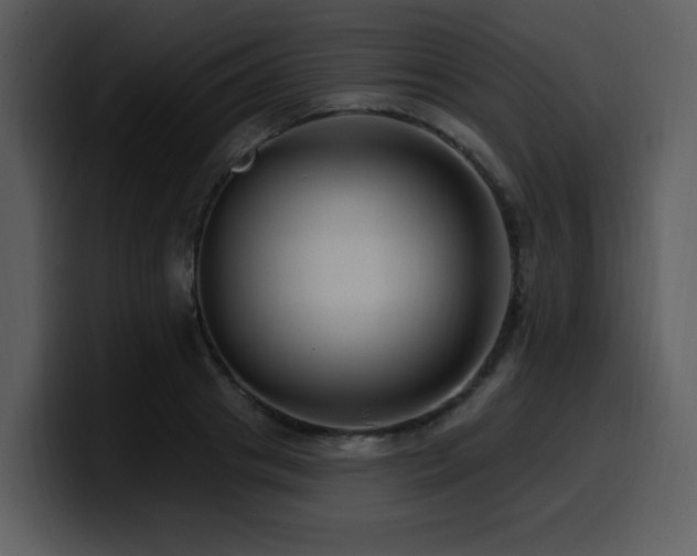 X0000100780841200806191301