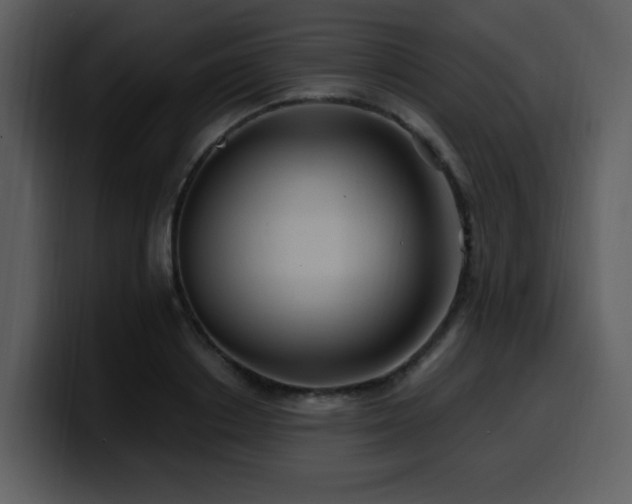 X0000100780842200806191301