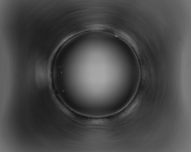 X0000100780843200806191301