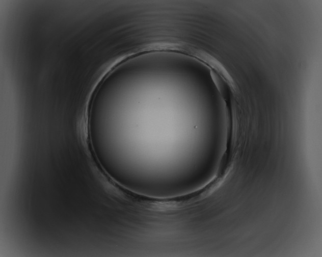 X0000100780844200806191301