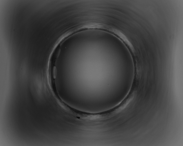 X0000100780845200806191301