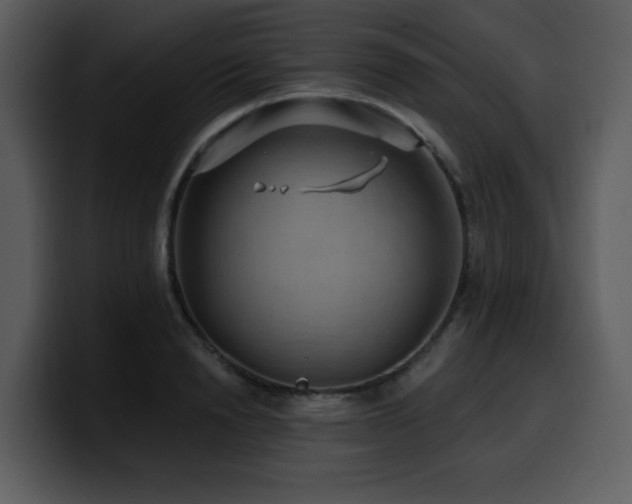 X0000100780846200806191301